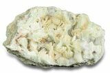 Green, Bladed Prehnite Crystals with Quartz - Morocco #255515-1